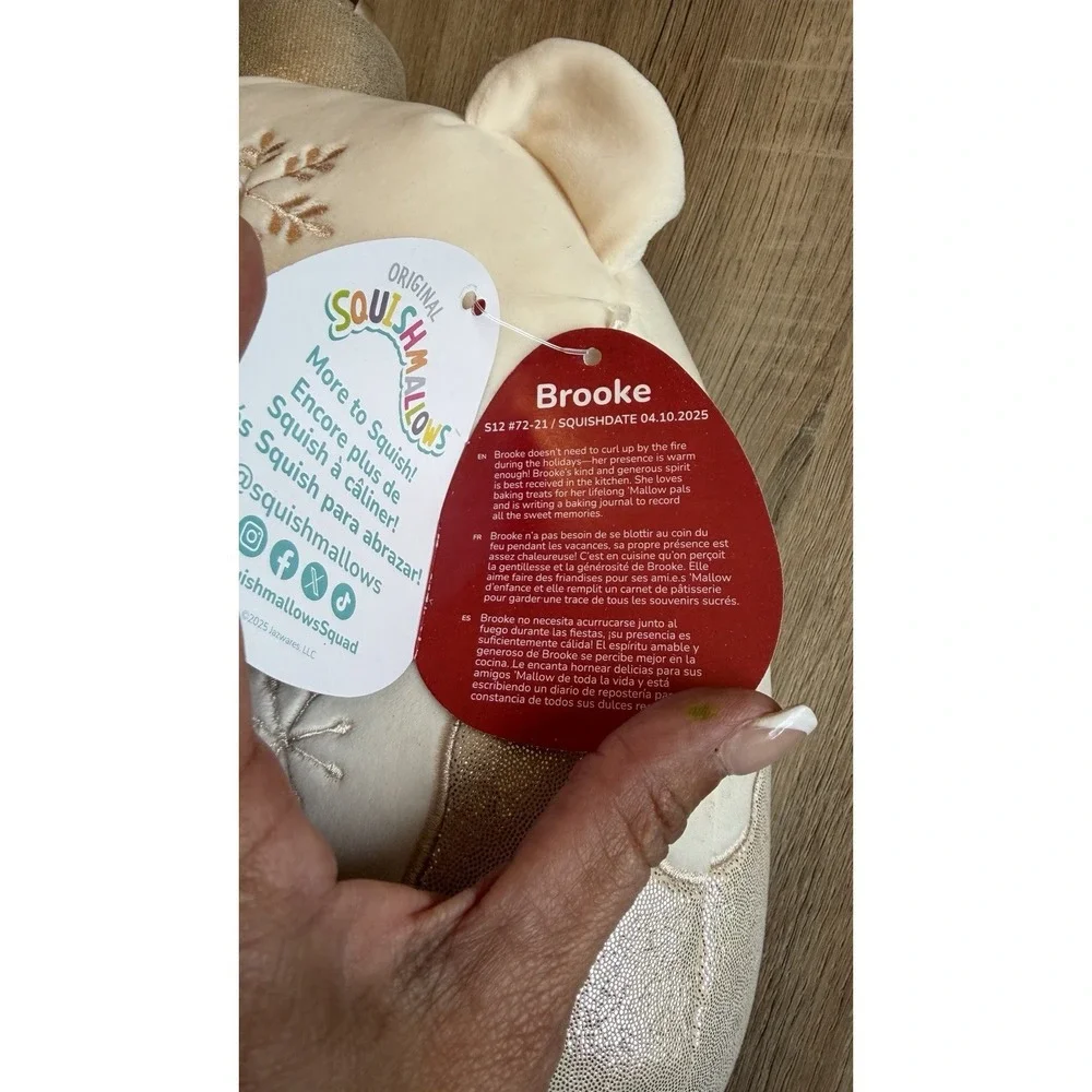 Squishmallows Brooke Holiday Bear Plush – New with Tags 12